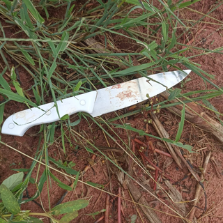 Faca usada no crime foi encontrada pela polícia (Foto: Divulgação)