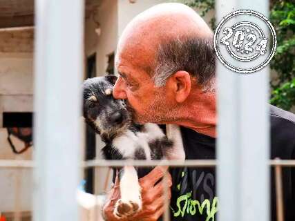 Protagonistas de tantas histórias, pets ganharam editoria só deles 