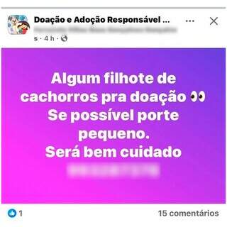 Em novembro deste ano, mulher pediu &#34;filhote de cachorro de pequeno porte&#34; em grupo de adoção responsável de Campo Grande (Foto: Redes sociais).