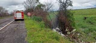 Caminhonete saiu da pista e colidiu contra àrvore as margens da BR-262. (Foto: Portal de Aquidauana)