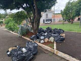 Sacos de lixo amanhecem embaixo de uma árvore na Praça da Coopha Fé, próximo à esquina da Rua das Garças com a Rua Cadênio (Foto: Direto das Ruas).