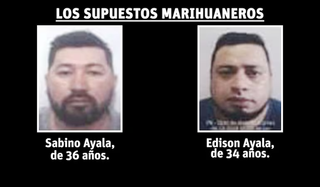 Pol&iacute;cia procura dupla respons&aacute;vel por mega acampamento de maconha