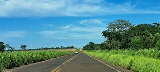 MS-040, que vai de Campo Grande à região de divisa com SP, não conta com acostamento; lei torna obrigatório para novos projetos (Foto: Arquivo)