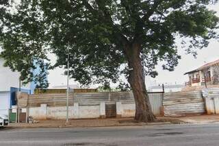 Terreno fica na região central de Campo Grande, avaliado em R$ 900 mil (Foto: Paulo Francis)