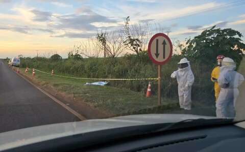 Período pode ter contribuído para duas mortes seguidas por ataque de abelhas