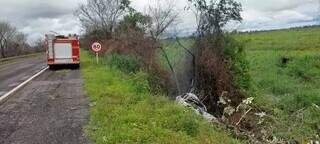 Caminhonete saiu da pista e colidiu contra árvore às margens da BR-262. (Foto: Portal de Aquidauana)