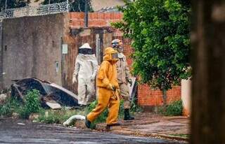 Bombeiros realizam manejo das abelhas; animais ficam agitados e agressivos com barulho e cheiro forte (Foto: Henrique Kawaminami)