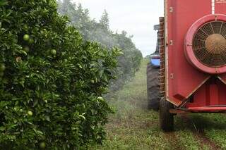 Pulverização em plantação de laranja em Dois Irmãos do Buriti (Foto: Bruno Rezende)