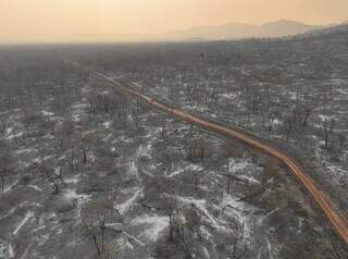 Imagem aérea da destruição causada após a passagem do fogo no bioma (Foto: Lalo de Almeida)