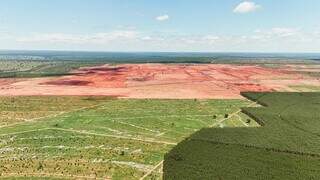 Imagem aérea de terraplanagem do local onde será implantada a Arauco, ao lado de área plantada (Foto: Arauco)