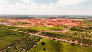 Estrada com acesso para planta já está pronta e fica a 50 km de Inocência (Foto: Arauco)