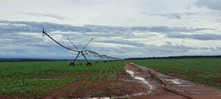 Sistema de irrigação em lavoura implantando no Estado (Foto: Divulgação)