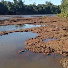 &ldquo;Tudo rasinho&rdquo;: seca no Rio Dourados leva desola&ccedil;&atilde;o a pescadores
