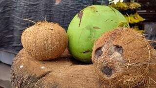 Além de versátil, fruta é opção que hidrata e ajuda na saciedade (Foto: Juliano Almeida)