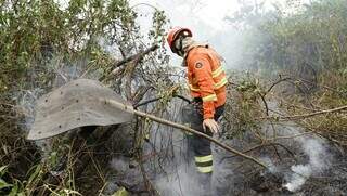 Militar do Corpo de Bombeiros tenta apagar foco de incêndio de mata nativa do Pantanal, em junho deste ano (Foto: Alex Machado)