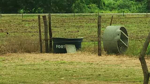 Irm&atilde;o encontrou menino afogado em caixa d&rsquo;&aacute;gua destinada a cavalos