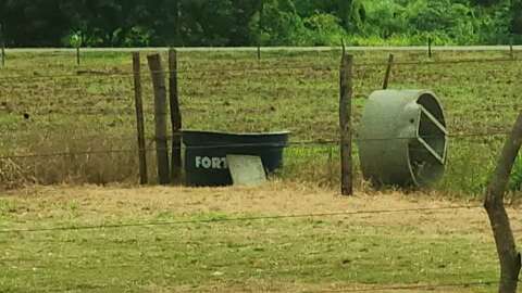 Irmão encontrou menino afogado em caixa d’água destinada a cavalos