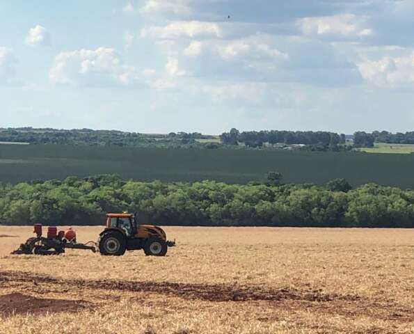 Prazo para declarar área plantada com soja em MS termina no dia 10