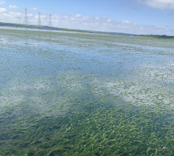 Perto da maior barragem, o apelo por &aacute;gua na piracema: &quot;acabando com o rio&quot;