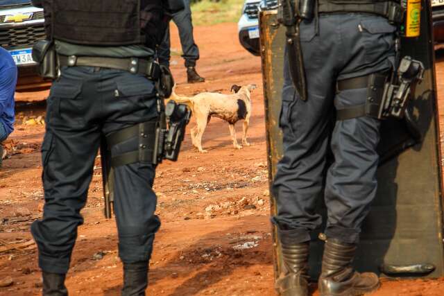 Motociclista &eacute; preso ao empinar moto e chamar policiais de &ldquo;macacos&rdquo; 