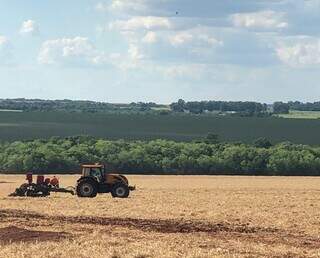 Prazo para declarar &aacute;rea plantada com soja em MS termina no dia 10