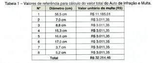 Respons&aacute;vel ter&aacute; de pagar R$ 32,2 mil por cortar 8 &aacute;rvores no Parque dos Poderes