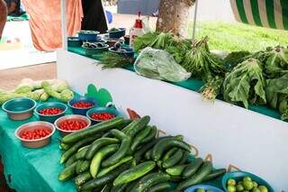 Na terra do agro, quem vende org&acirc;nico se v&ecirc; &quot;esquecido&quot; pelo consumidor