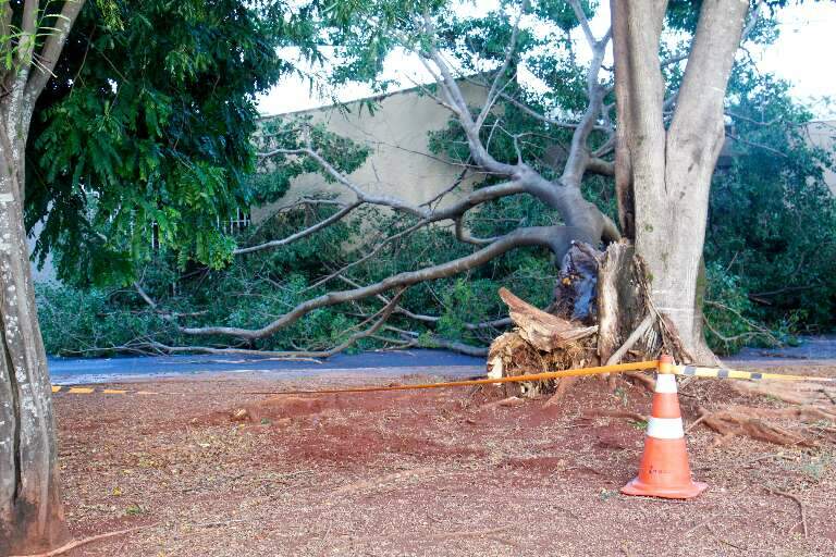 Campo Grande News