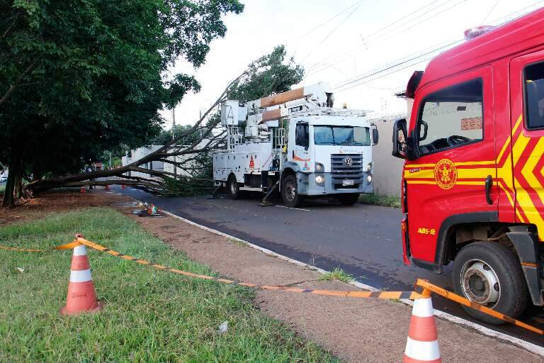 Campo Grande News