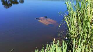 Fam&iacute;lia morre afogada ap&oacute;s carro cair em lagoa