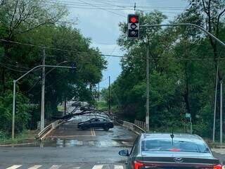 Dia deve ser marcado por calor&atilde;o e mais pancadas de chuva