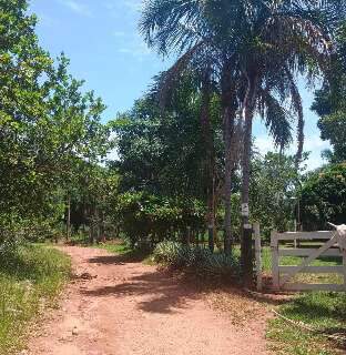 Com 11 horas sem energia em um dia, moradores sofrem com oscila&ccedil;&atilde;o constante