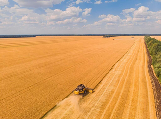 Setor agropecu&aacute;rio brasileiro deve crescer 11,5% e alcan&ccedil;ar R$ 1,4 trilh&atilde;o