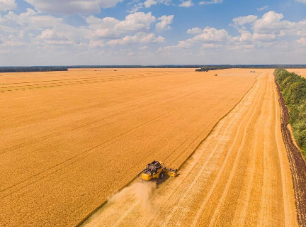 Setor agropecu&aacute;rio brasileiro deve crescer 11,5% e alcan&ccedil;ar R$ 1,4 trilh&atilde;o