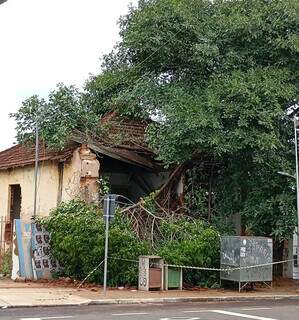 Caindo aos peda&ccedil;os, &aacute;rvore destr&oacute;i casa hist&oacute;rica de R$ 1 milh&atilde;o	