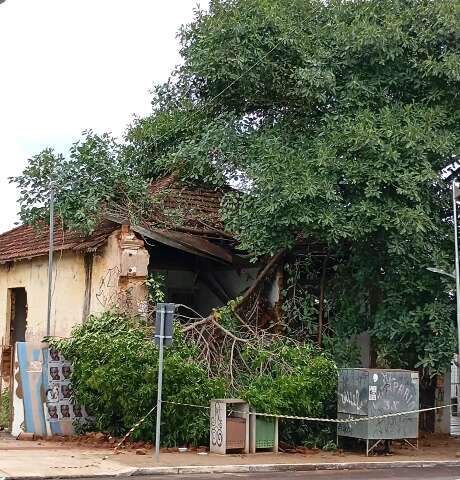 Caindo aos peda&ccedil;os, &aacute;rvore destr&oacute;i casa hist&oacute;rica de R$ 1 milh&atilde;o	