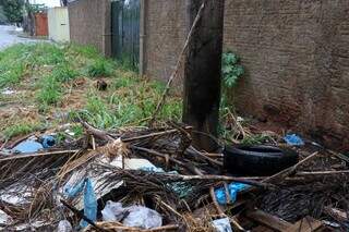 Moradores de bairros com &ldquo;risco alto&rdquo; para dengue cobram consci&ecirc;ncia de vizinhos