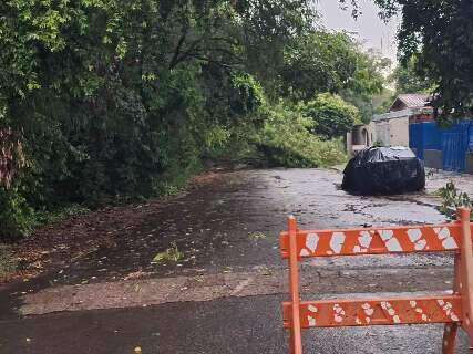 Em MS, 21 munic&iacute;pios tiveram chuva at&eacute; 148% al&eacute;m do esperado em dezembro