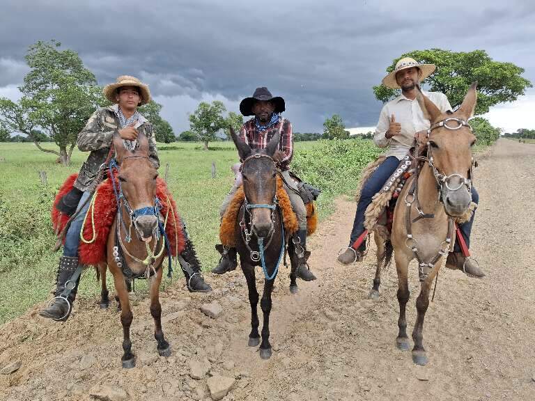 Campo Grande News