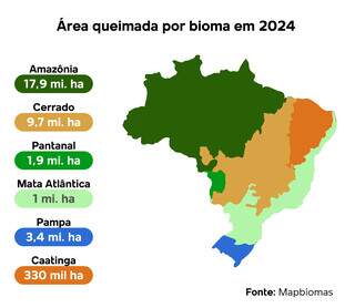 Queimadas no Pa&iacute;s aumentaram 79% e consumiram 1,9 milh&atilde;o de hectares no Pantanal