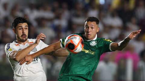 De virada, Palmeiras vence Santos em cl&aacute;ssico no Paulist&atilde;o