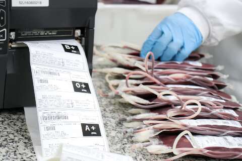 Saiba qual o caminho que bolsa de sangue percorre at&eacute; chegar ao paciente