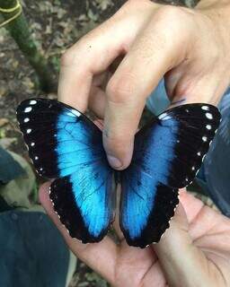 ICMBio abre sele&ccedil;&atilde;o para volunt&aacute;rios no Parque Nacional da Serra da Bodoquena