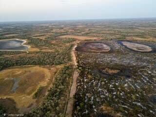 Governo prepara reuni&otilde;es mensais para enfrentar a seca cr&iacute;tica no Pantanal