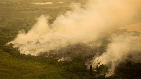 Uni&atilde;o cobra 725 milh&otilde;es de fazendeiros por fogo em 6 mil hectares no Pantanal