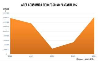 Pior ano para o Pantanal de MS: fogo consumiu 18% do bioma em 2024