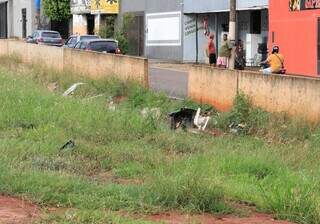 Corredor abandonado na Gunter Hans volta a acumular lixo e provocar acidentes