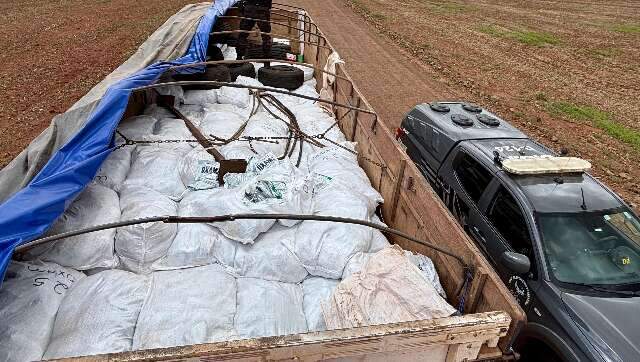 Motorista &eacute; preso com oito toneladas de agrot&oacute;xicos contrabandeados