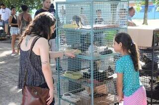 Pet n&atilde;o &eacute; brinquedo e ado&ccedil;&atilde;o &eacute; para quem d&aacute; conta de um compromisso