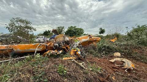 Piloto de avi&atilde;o agr&iacute;cola morre ap&oacute;s aeronave cair em MS